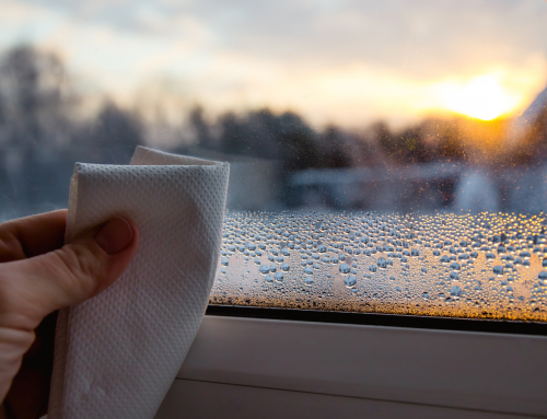 Kondenswasser am Fenster: Ursachen, Folgen und Lösungen