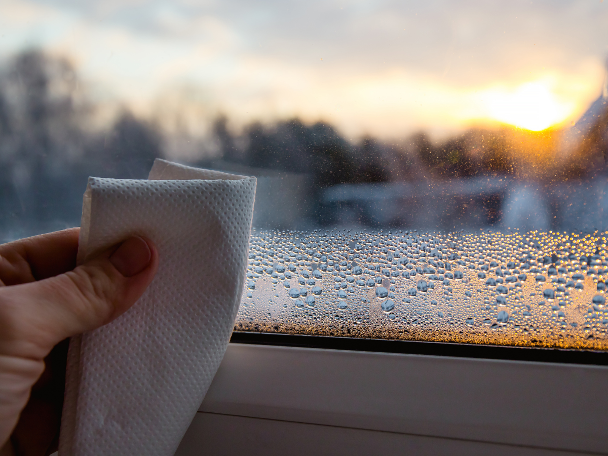 Kondenswasser am Fenster